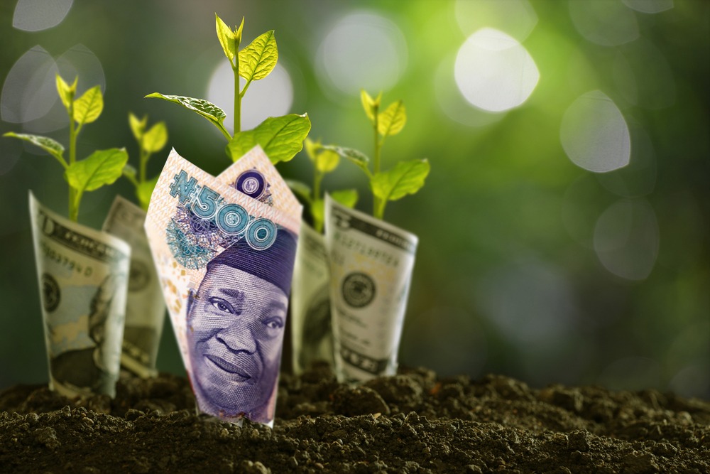 Fixed Income Naira Fund